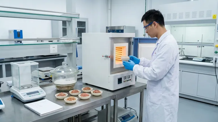 식품 시료 회화(Ashing)란 무엇인가요? 품질 관리를 위한 무기질 함량 측정 가이드