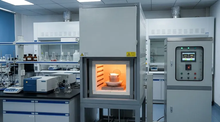 干灰化有什么缺点?用更好的替代方法避免不准确的结果