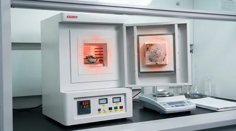 ¿Cuál es el papel del calcinado en el análisis de alimentos? Garantizar la calidad, seguridad y cumplimiento normativo