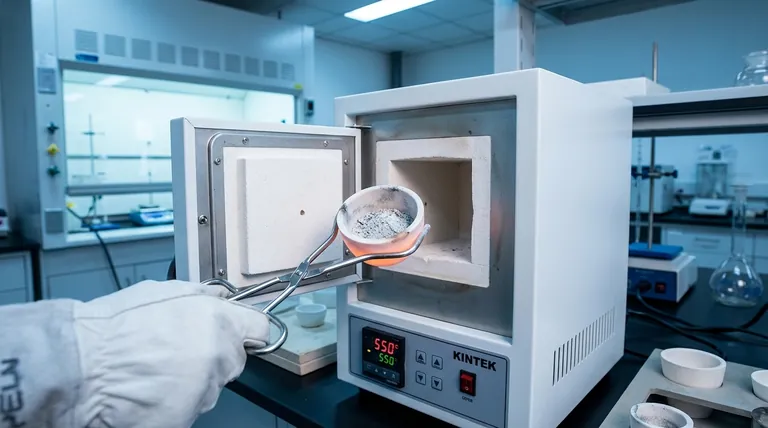 ما هو تحديد محتوى الرماد؟ ضمان جودة الغذاء وسلامته وامتثاله للمعايير