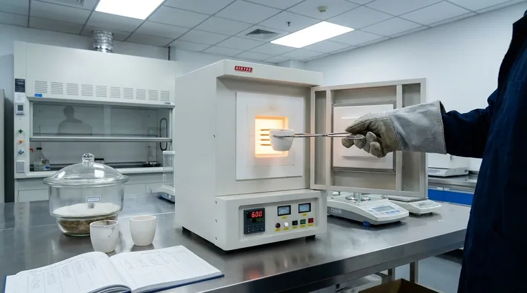 Was ist die Veraschungsmethode in der analytischen Chemie? Ein Schlüsselprozess für die präzise Probenanalyse