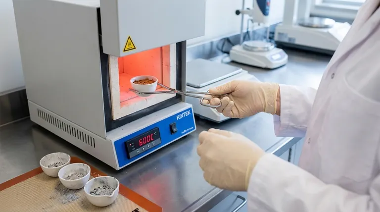 O que é a incineração na indústria alimentar? Um Processo Chave para Análise de Conteúdo Mineral