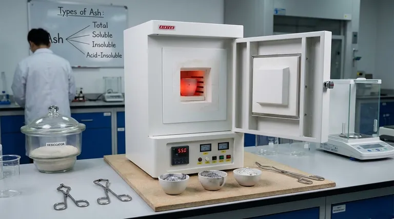 Was ist Asche in der Lebensmittelindustrie? Wichtige Arten, Methoden und Anwendungen erklärt