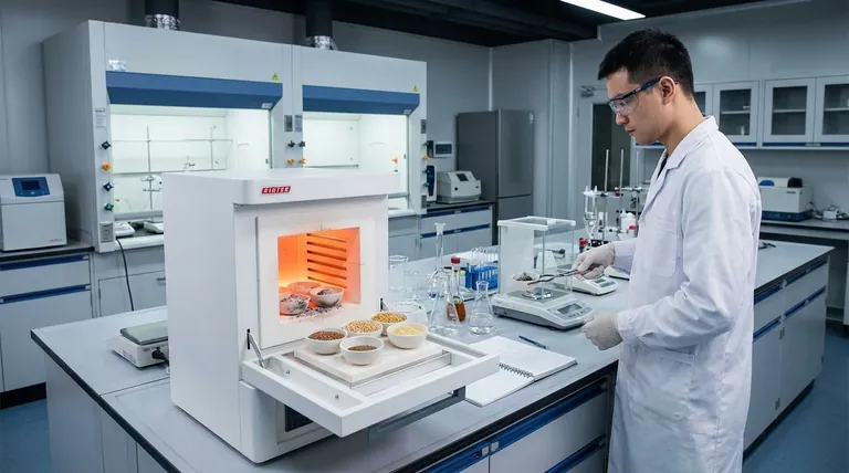 Что такое озоление в анализе пищевых продуктов? Раскройте секреты содержания минералов и безопасности пищевых продуктов