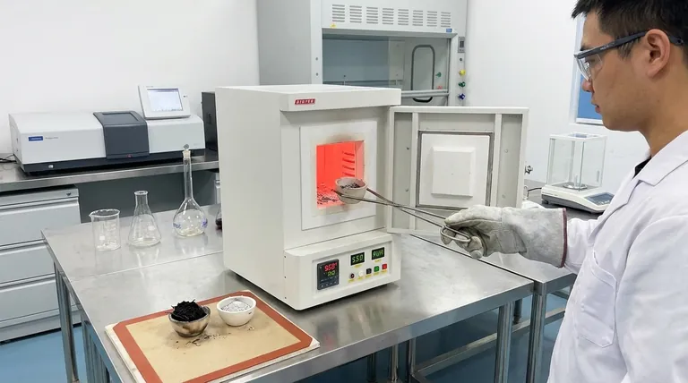 ما هي فوائد التكليس؟ تعزيز الدقة وتبسيط تحضير العينات