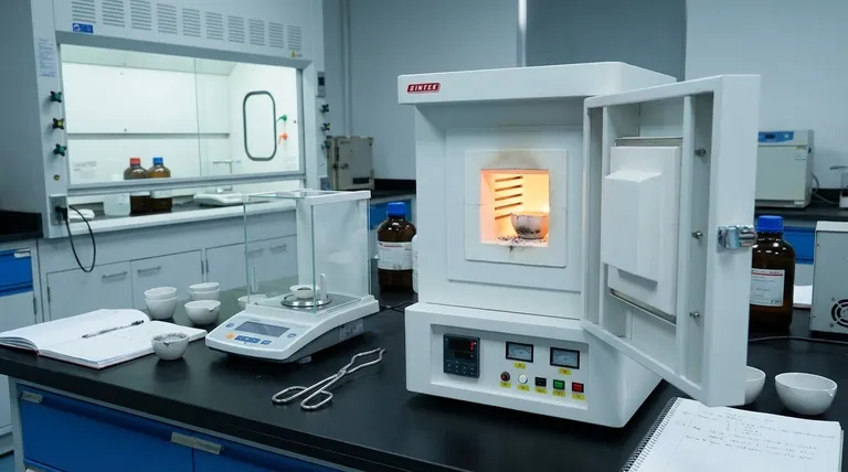 O que é análise de cinzas? Um guia completo para entender a composição de material inorgânico