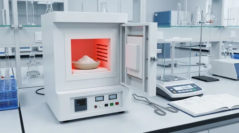 ما هو الرماد في التحليل التقريبي؟ رؤى رئيسية حول جودة الأغذية وسلامتها