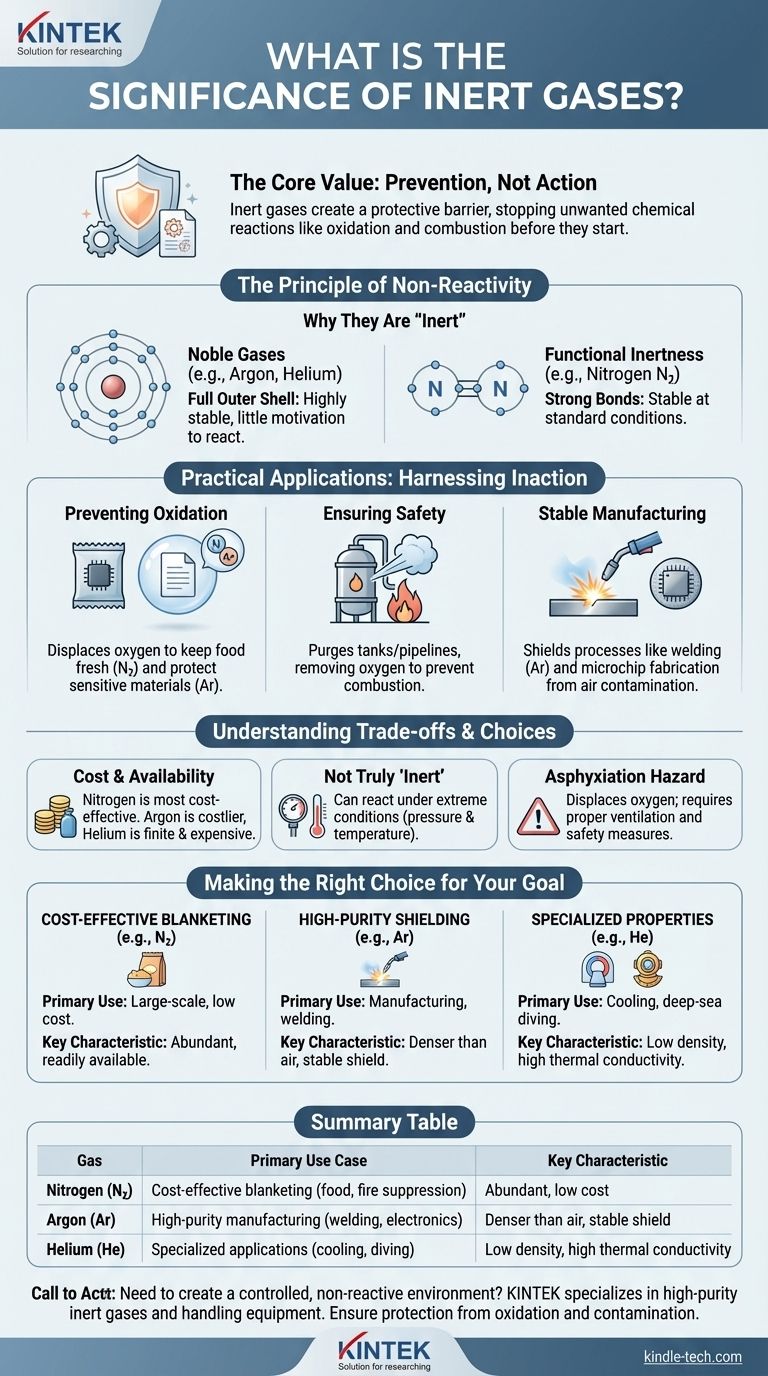 What is the significance of inert gases? Harnessing Stability for Process Control and Safety Visual Guide