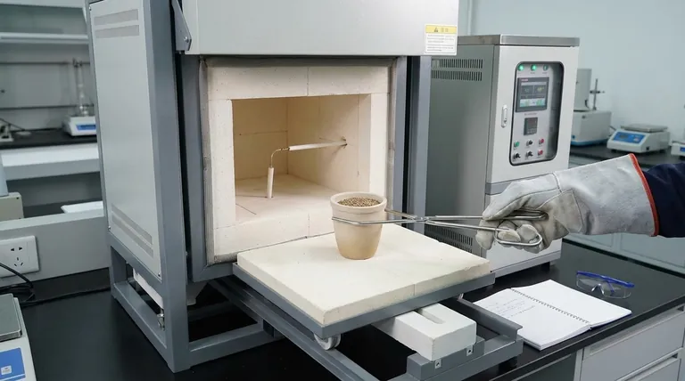 Como manter uma amostra em um forno mufla? Um Guia para Posicionamento Seguro e Preciso