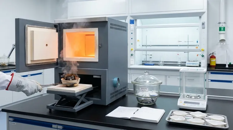 マッフル炉は試料の分解にどのように使用されますか?正確な分析のための灰化法(ドライアッシング)ガイド