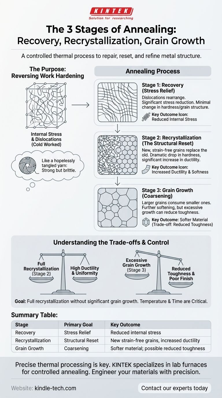 退火的三个阶段是什么？掌握该过程以优化金属性能 图解指南