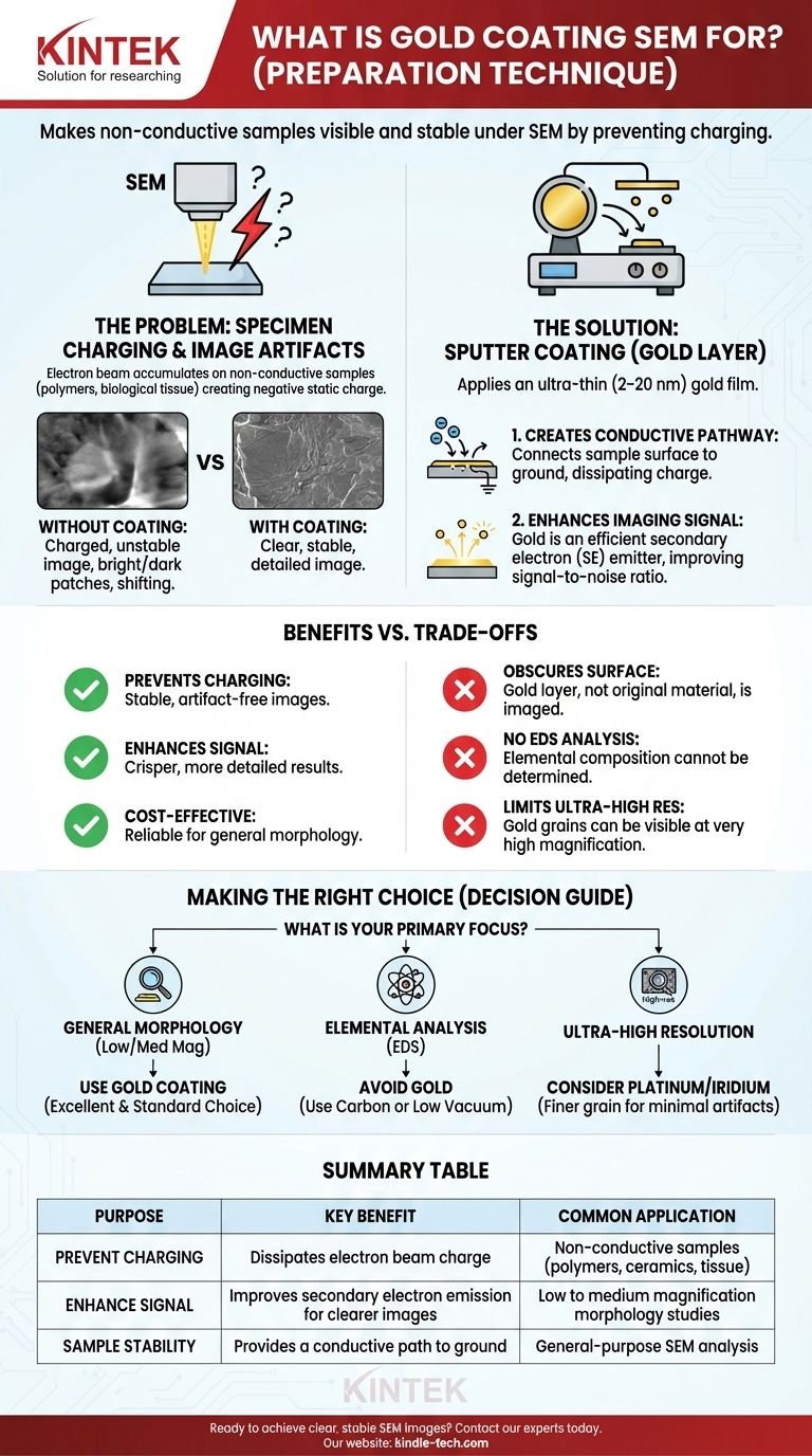 Wozu dient die Goldbeschichtung beim REM? Aufladung verhindern & klarere REM-Bilder erhalten Visuelle Anleitung