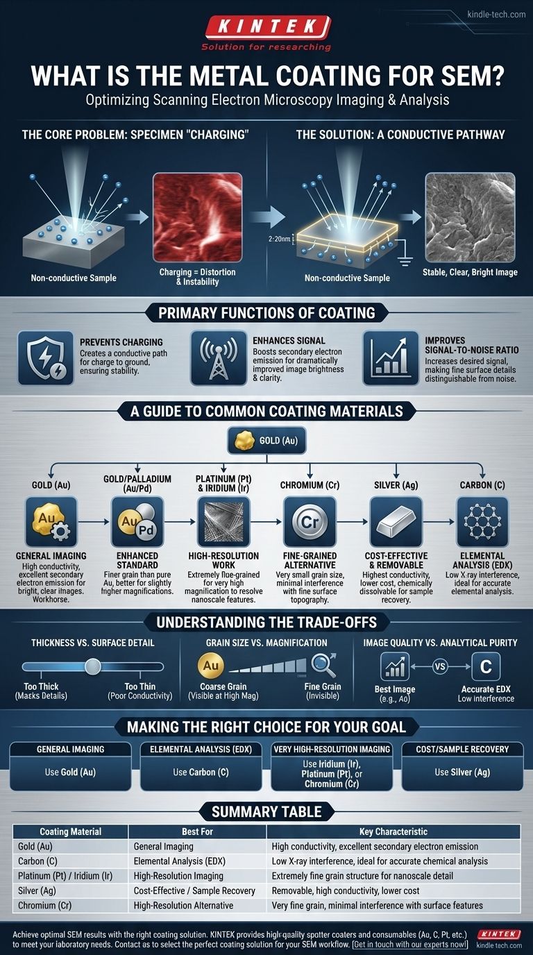 ما هو الطلاء المعدني للمجهر الإلكتروني الماسح (SEM)؟ دليل لاختيار المادة المناسبة للتصوير الواضح دليل مرئي