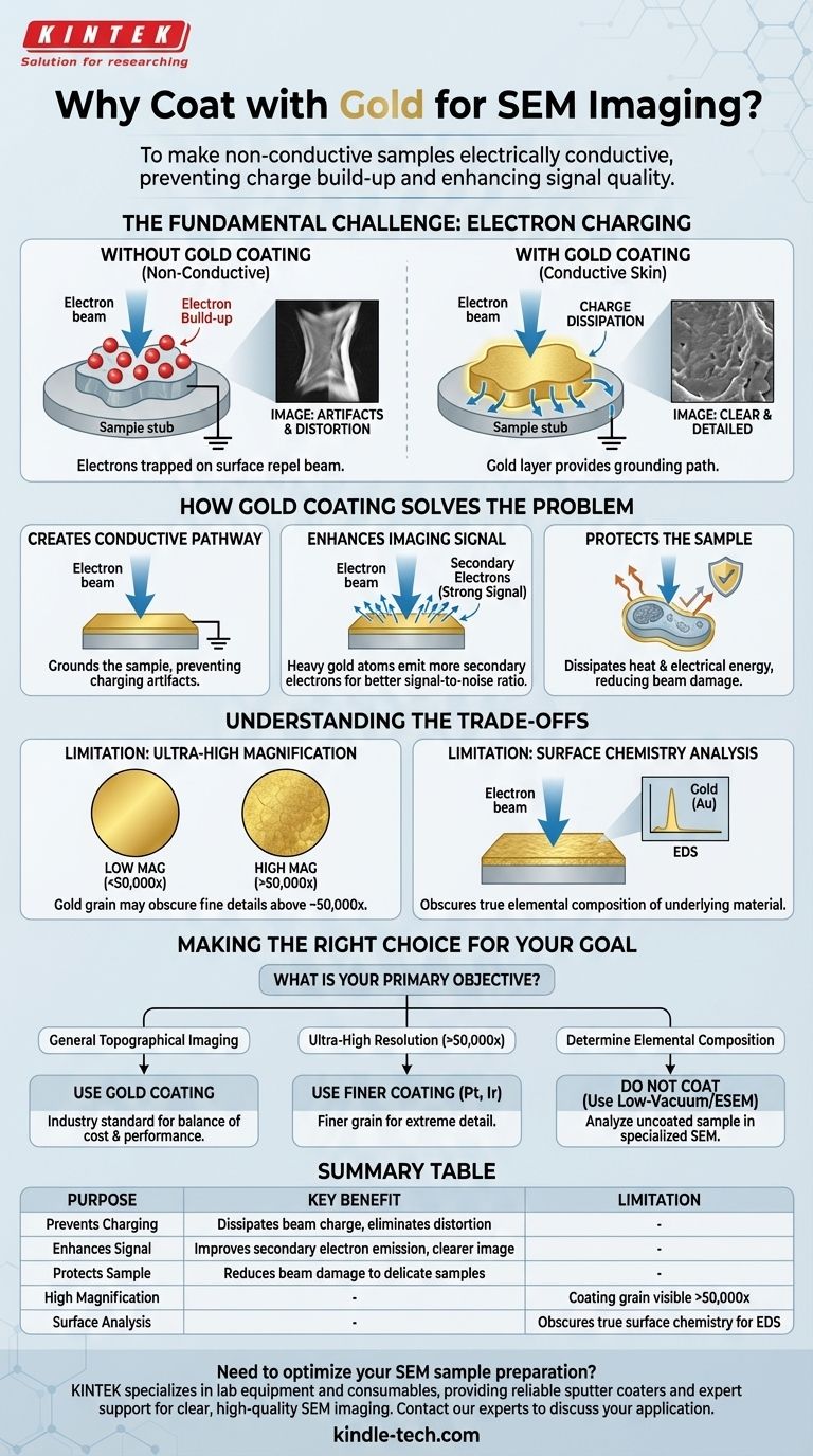 لماذا يتم طلاء الجسم بالذهب قبل التصوير بالمجهر الإلكتروني الماسح (SEM)؟ لمنع الشحن وتحقيق صور واضحة بالمجهر الإلكتروني الماسح دليل مرئي