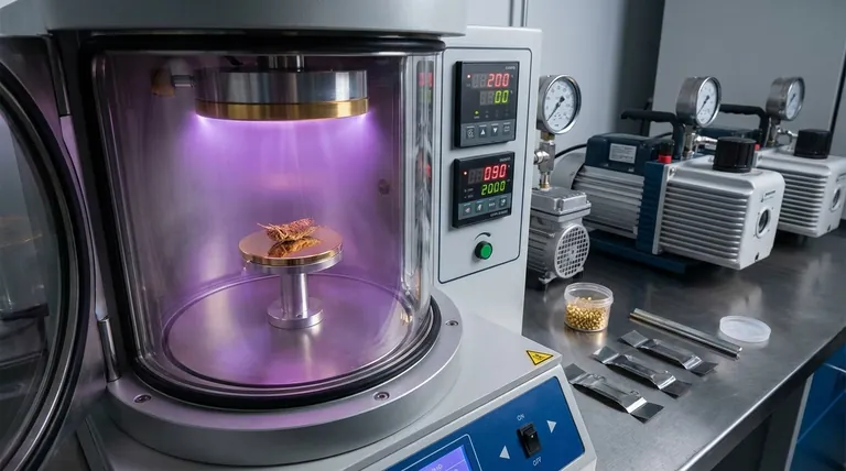 Perché un oggetto viene rivestito d'oro prima dell'imaging SEM? Per prevenire la carica e ottenere immagini SEM nitide