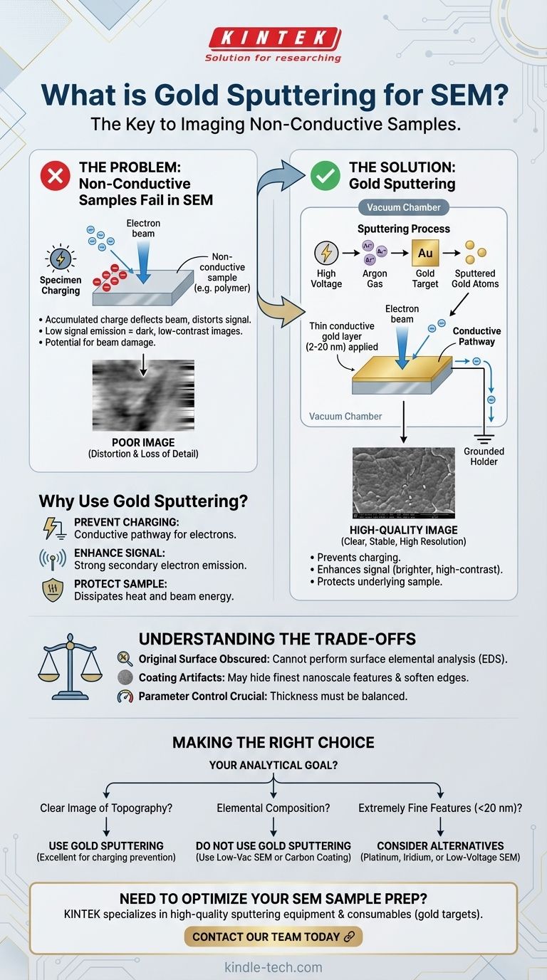 ما هو التذهيب بالرش (Gold Sputtering) للمجهر الإلكتروني الماسح (SEM)؟ منع الشحن وتحسين جودة الصورة للعينات غير الموصلة دليل مرئي