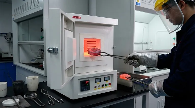 任何热处理操作的主要目的是什么?是为了根据性能定制材料属性