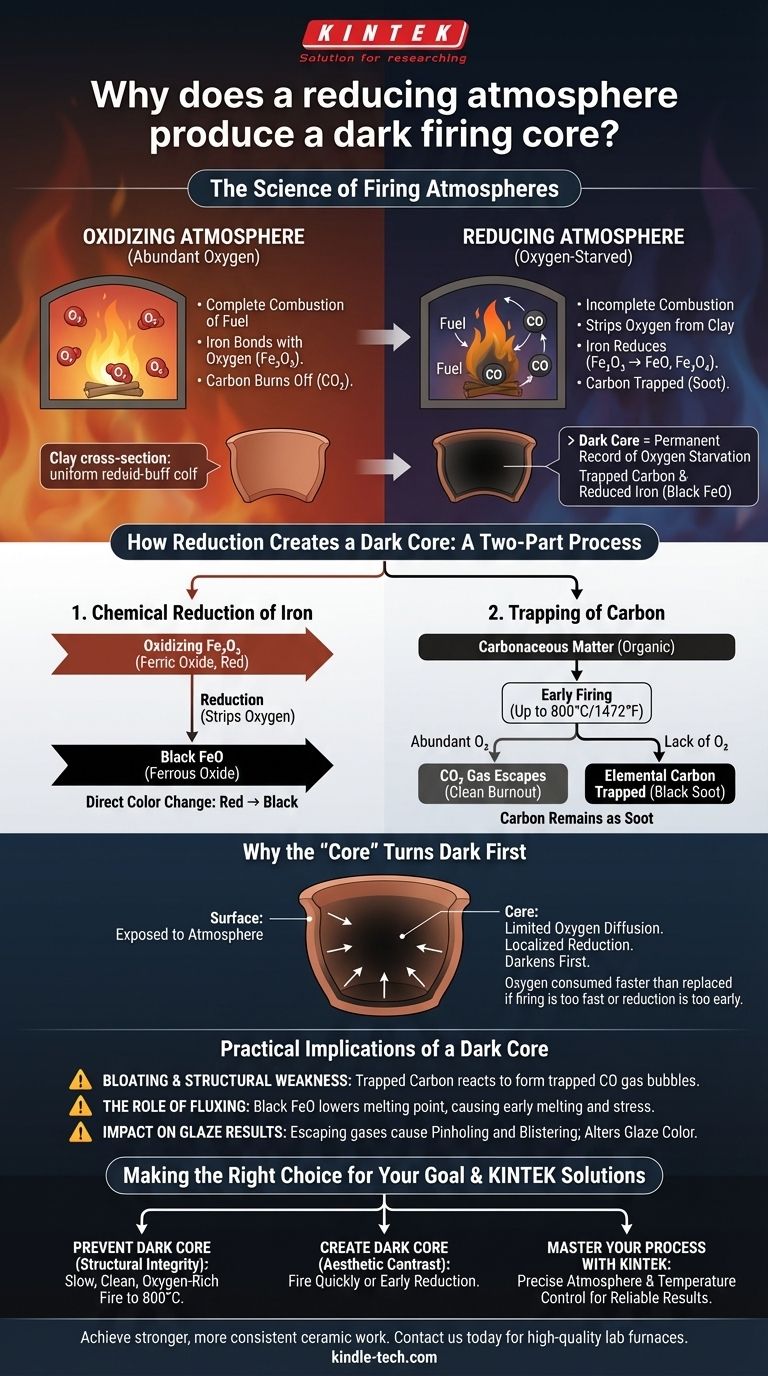 還元雰囲気で焼成すると、なぜ中心部が黒くなるのでしょうか？陶磁器焼成の化学を解き明かす ビジュアルガイド
