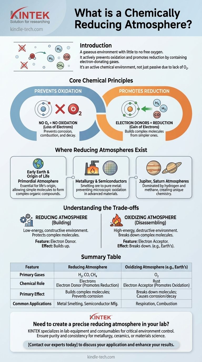 ما هو الجو الكيميائي المختزل؟ دليل للبيئات الخالية من الأكسدة دليل مرئي