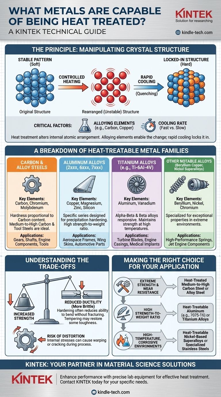 Quels métaux peuvent subir un traitement thermique ? Débloquez une résistance élevée et une durabilité pour vos composants Guide Visuel