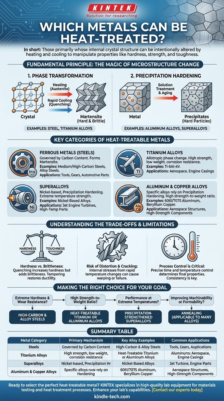 Quels métaux peuvent être traités thermiquement ? Débloquez la dureté, la résistance et la performance Guide Visuel