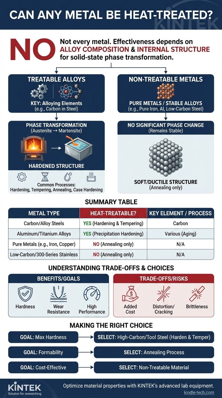 Qualsiasi metallo può essere sottoposto a trattamento termico? Sblocca il potenziale delle tue leghe Guida Visiva
