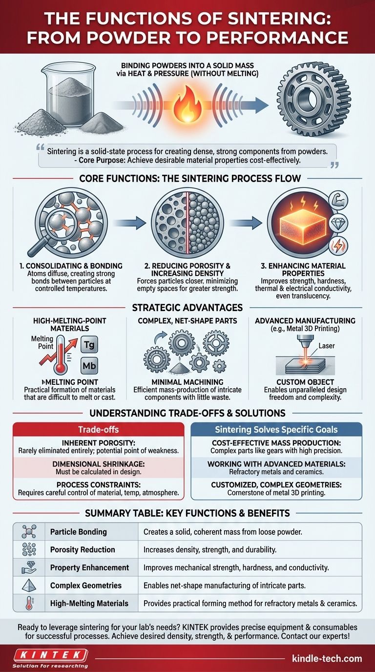 Quali sono le funzioni del processo di sinterizzazione? Trasformare le polveri in componenti ad alte prestazioni Guida Visiva
