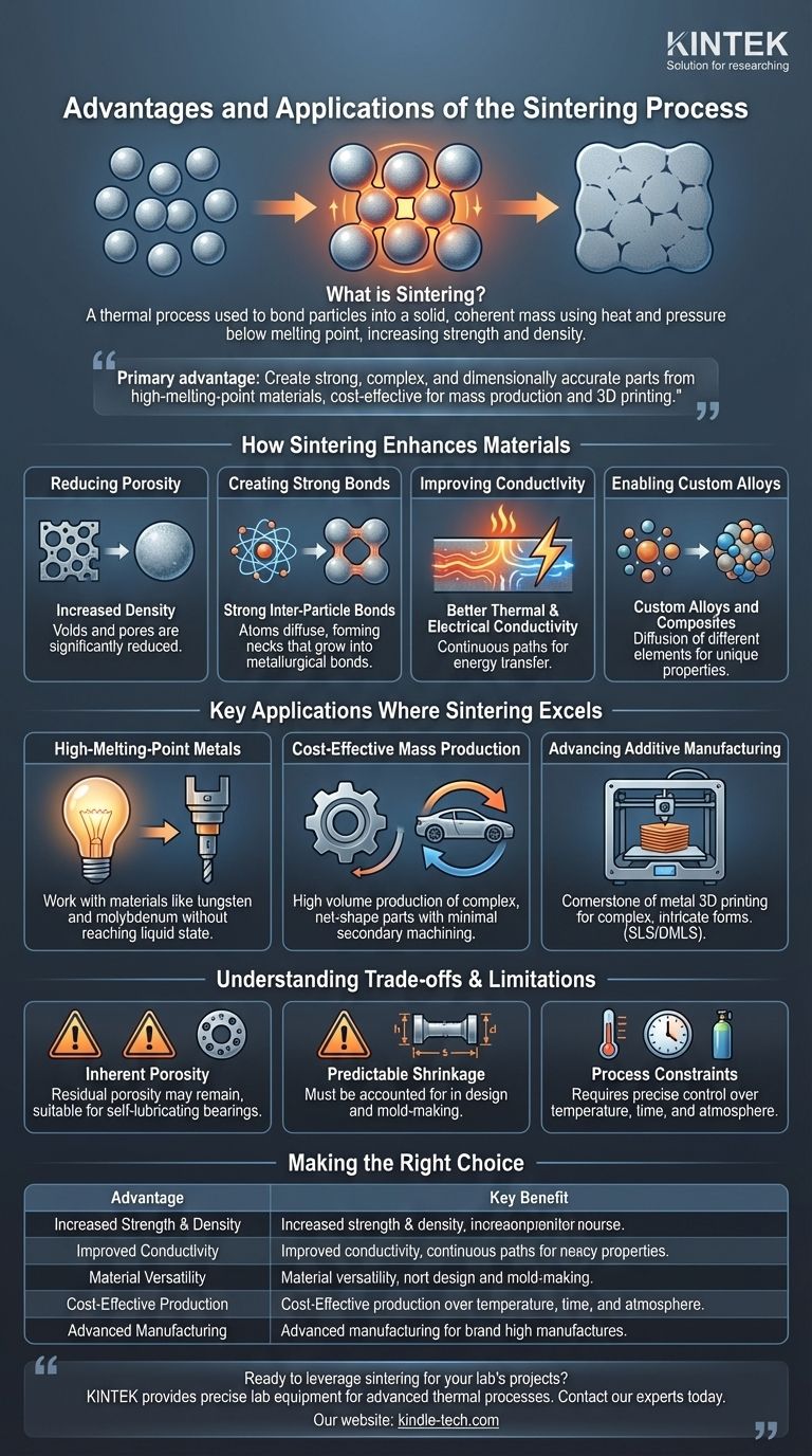 ¿Cuáles son las ventajas y aplicaciones del proceso de sinterización? Logre piezas resistentes y complejas de manera eficiente Guía Visual