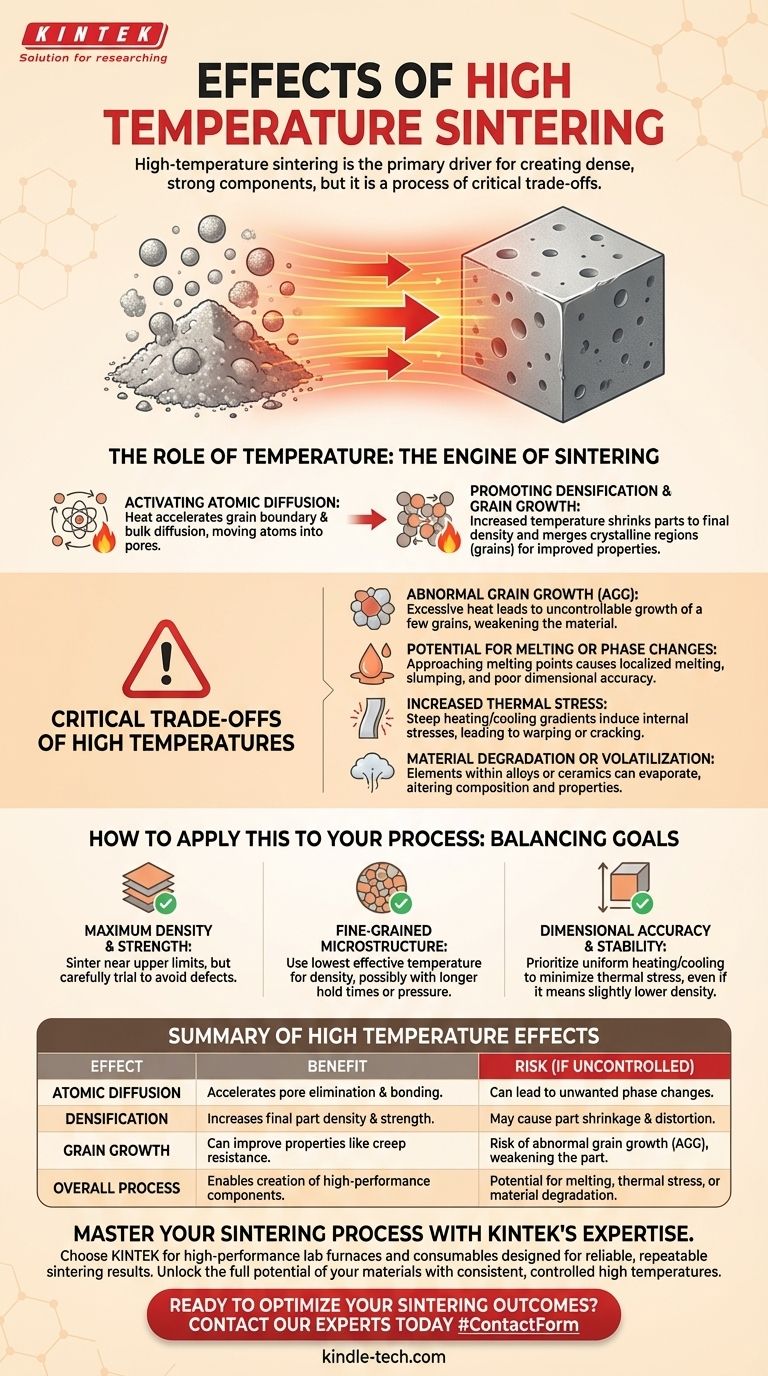 Quali sono gli effetti della sinterizzazione ad alta temperatura? Ottenere componenti densi e resistenti o rischiare difetti Guida Visiva