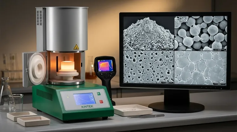 Quais são as quatro fases da sinterização? Um Guia para a Densificação Precisa de Materiais