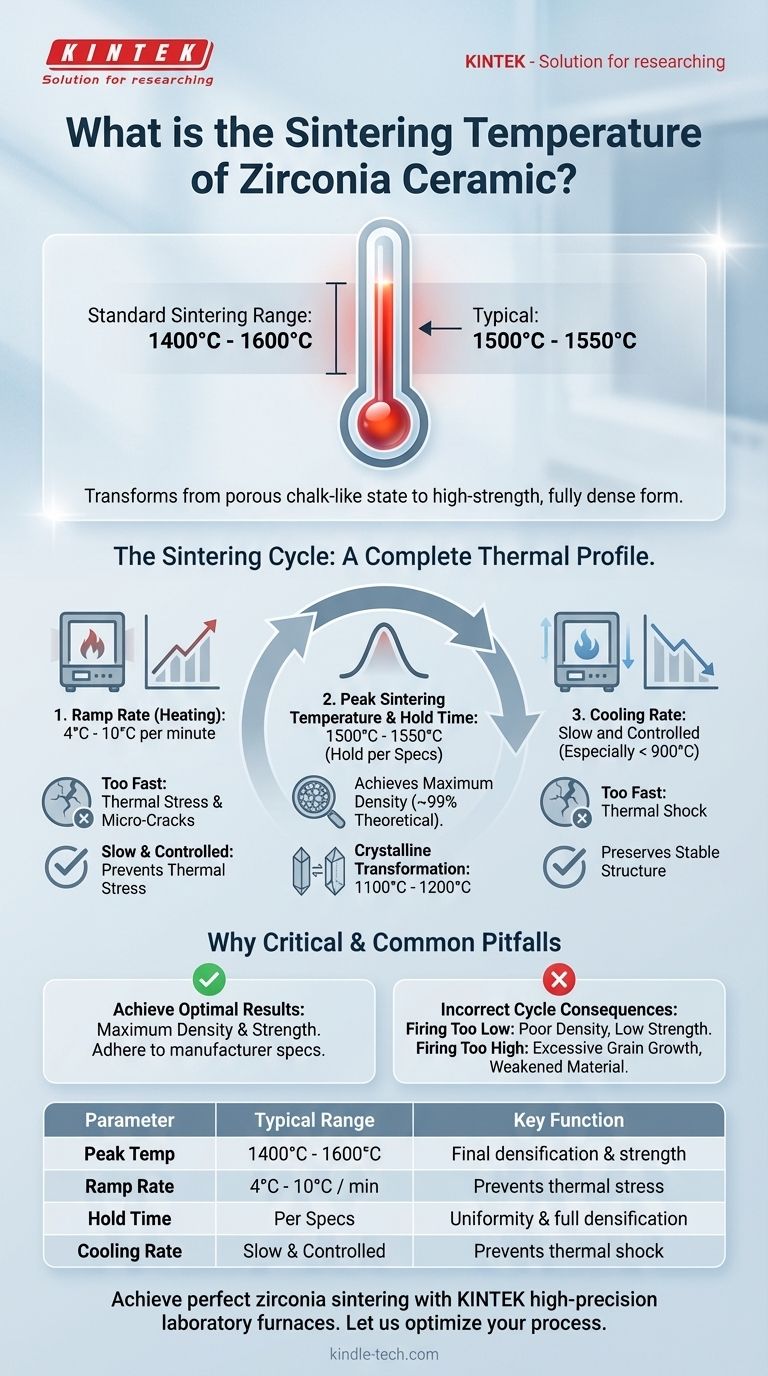 Quelle est la température de frittage de la céramique de zircone ? Maîtriser le profil thermique de 1400°C-1600°C Guide Visuel