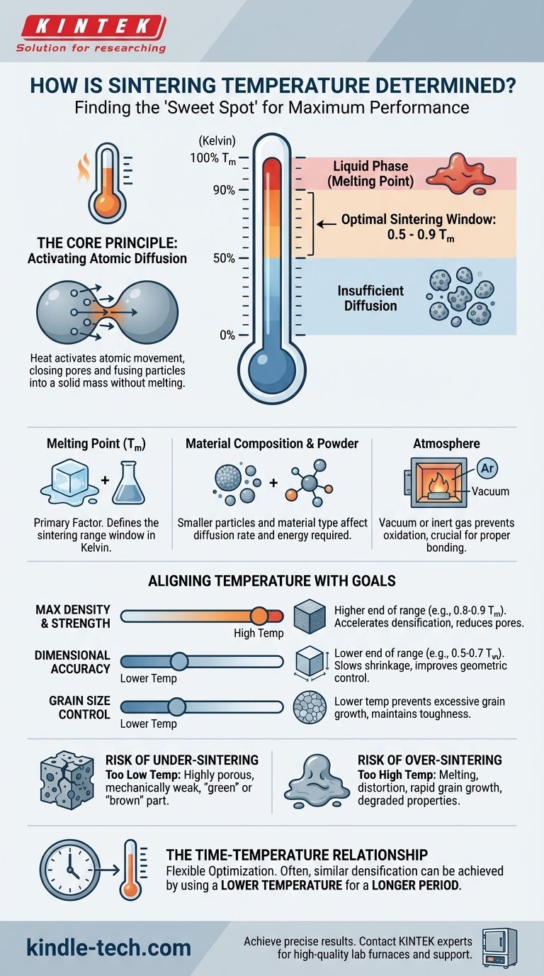 Comment la température de frittage est-elle déterminée ? Maîtriser l'équilibre entre densité et distorsion. Guide Visuel