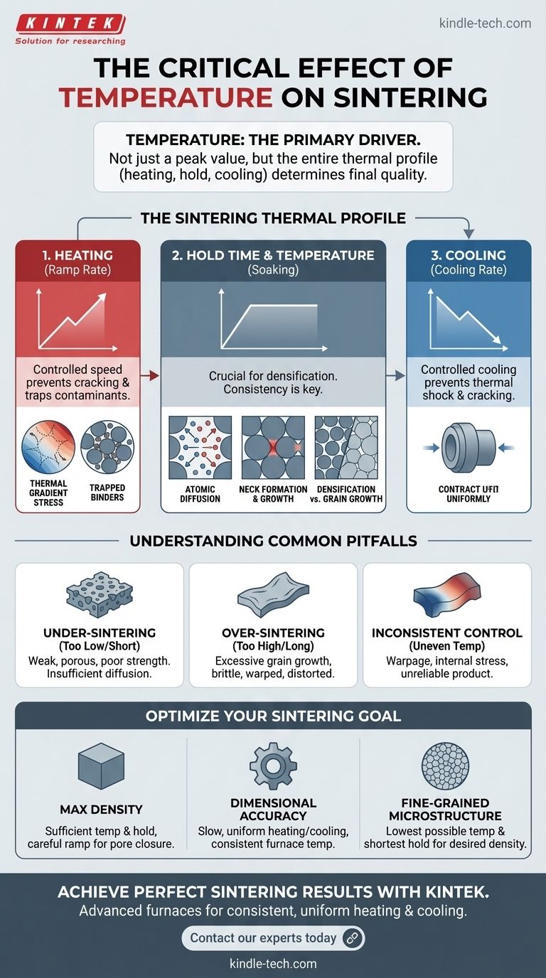 Quel est l'effet de la température sur le frittage ? Maîtrisez le profil thermique pour des résultats supérieurs Guide Visuel