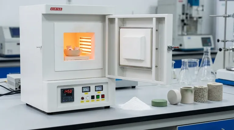 ¿Cuál es el efecto de la temperatura de sinterización en las cerámicas? Domina la clave de la densidad y resistencia de la cerámica