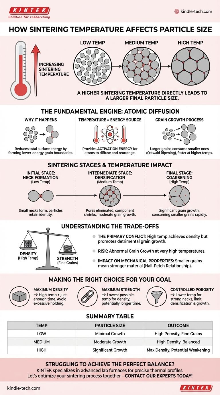 How does sintering temperature affect particle size? The Key to Controlling Microstructure Visual Guide