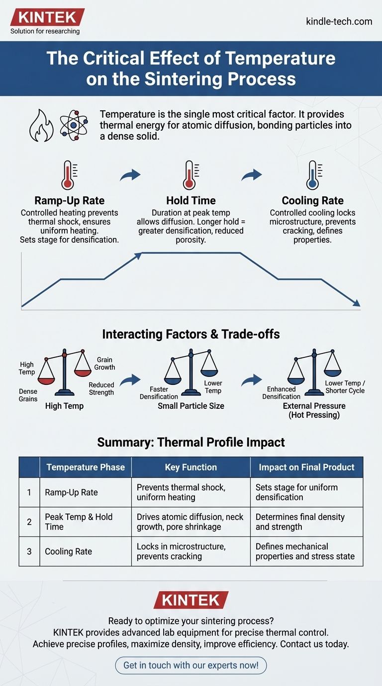 Каково влияние температуры на процесс спекания? Освоение термического контроля для получения превосходных материалов Визуальное руководство
