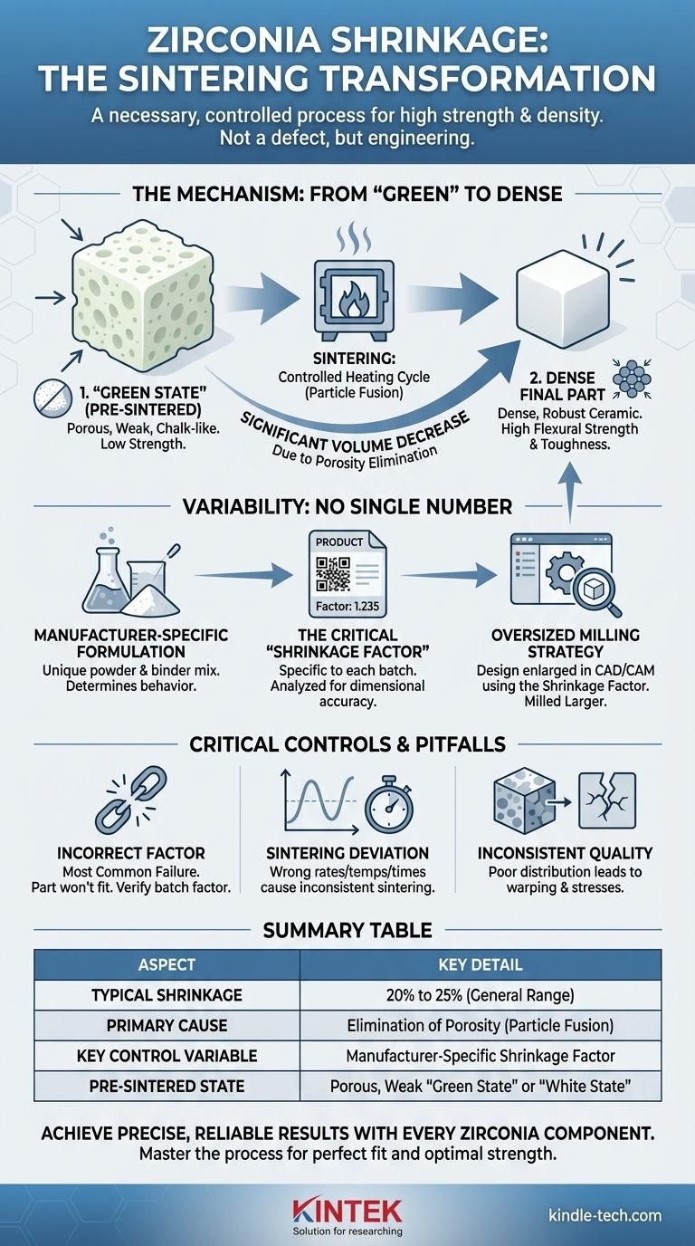 ジルコニアの焼結時の収縮率はどれくらいですか？20～25%の寸法変化をマスターする ビジュアルガイド