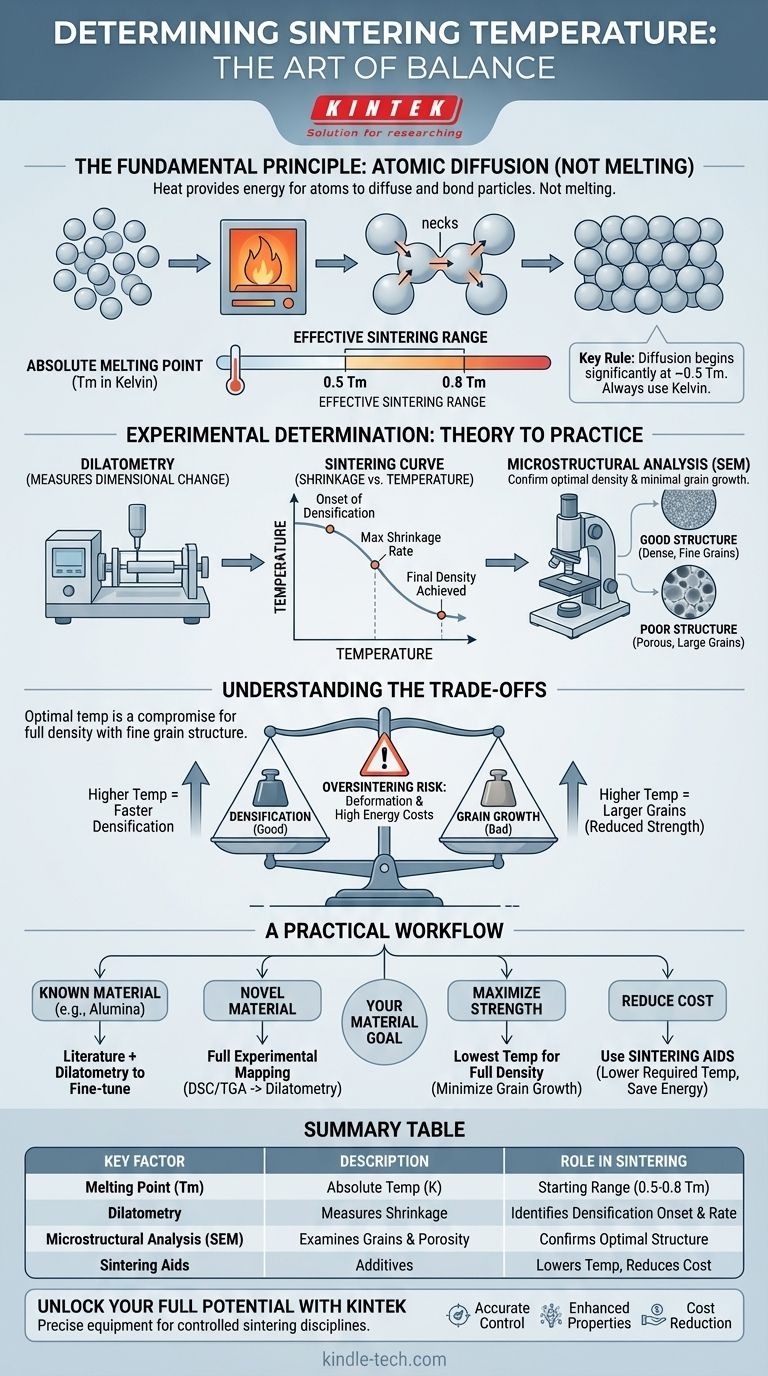 ¿Cómo determinó la temperatura de sinterización para diferentes materiales? Logre la densificación y el rendimiento óptimos Guía Visual