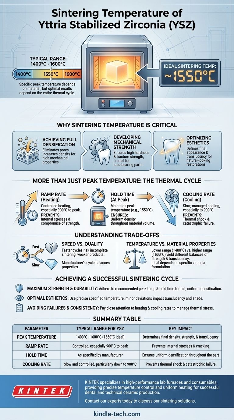 ما هي درجة حرارة التلبيد للزركونيا المثبتة بالإيتريا؟ إتقان الدورة الحرارية للحصول على نتائج فائقة دليل مرئي