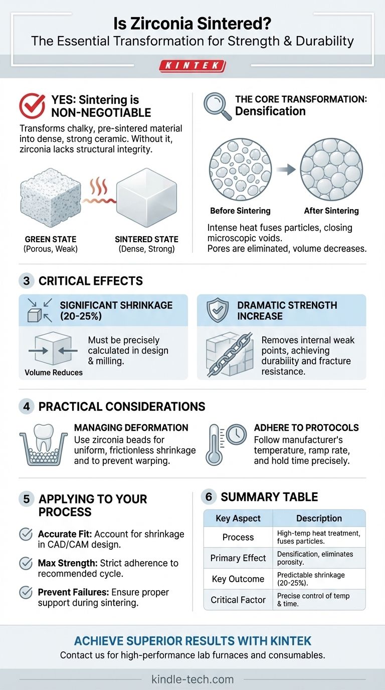 La zirconia viene sinterizzata? Il passaggio essenziale per sbloccare la massima resistenza e durata Guida Visiva