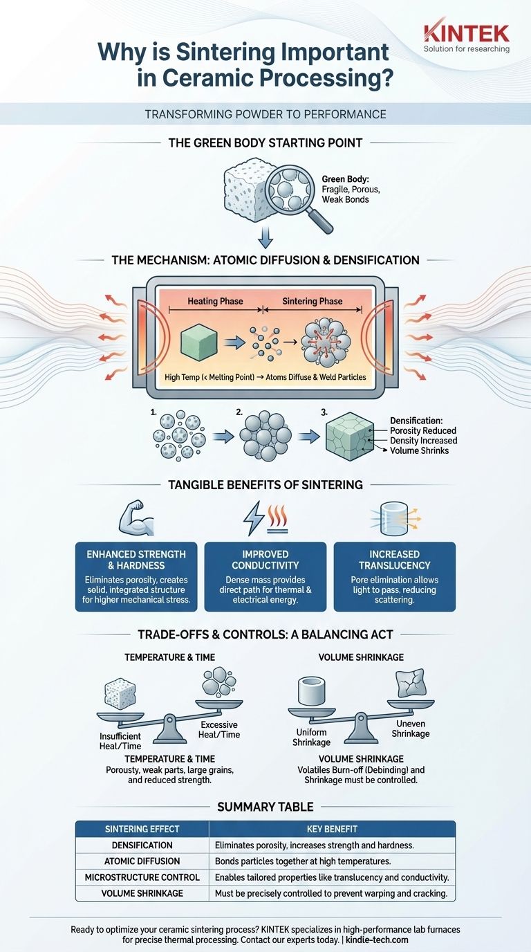 ¿Por qué es importante la sinterización en el procesamiento cerámico? Obtenga piezas cerámicas densas y de alto rendimiento Guía Visual
