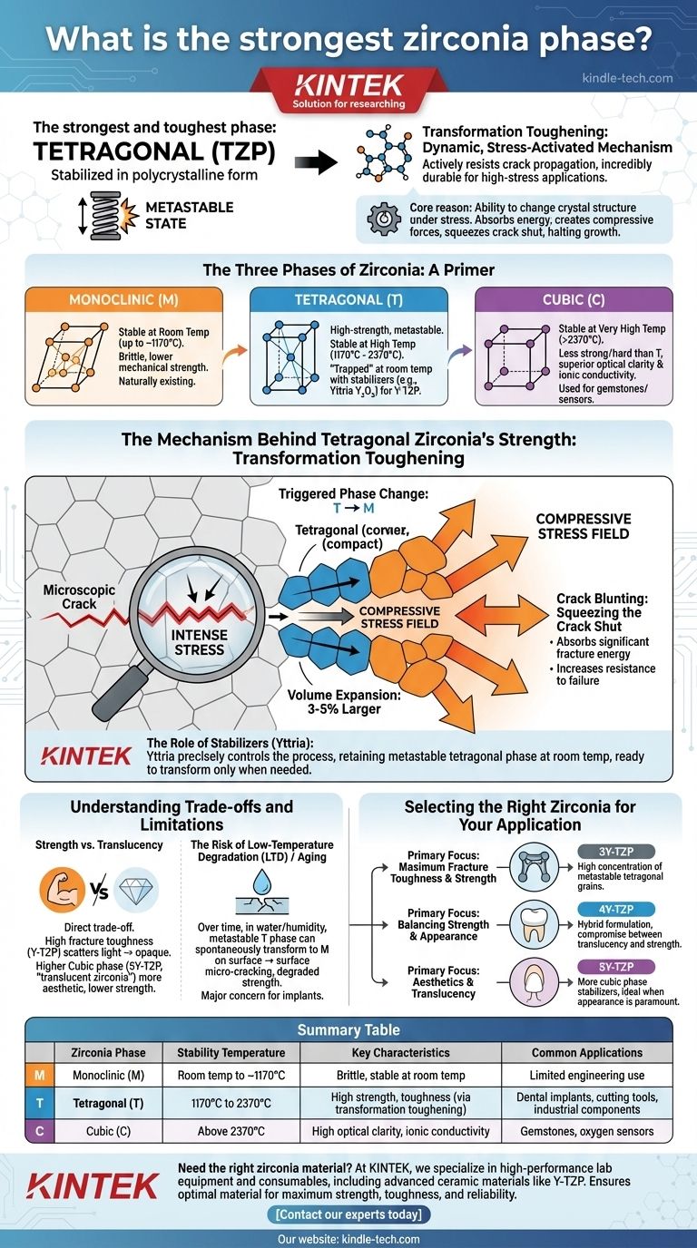 What is the strongest zirconia phase? Tetragonal Zirconia Offers Unmatched Toughness Visual Guide