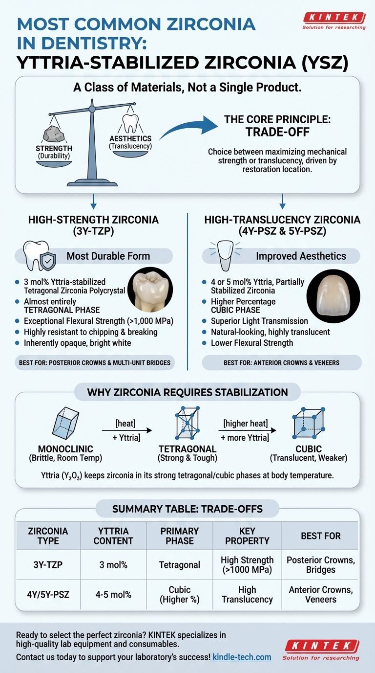 Какой тип циркония чаще всего используется в стоматологии? Выбирайте между прочностью и эстетикой Визуальное руководство