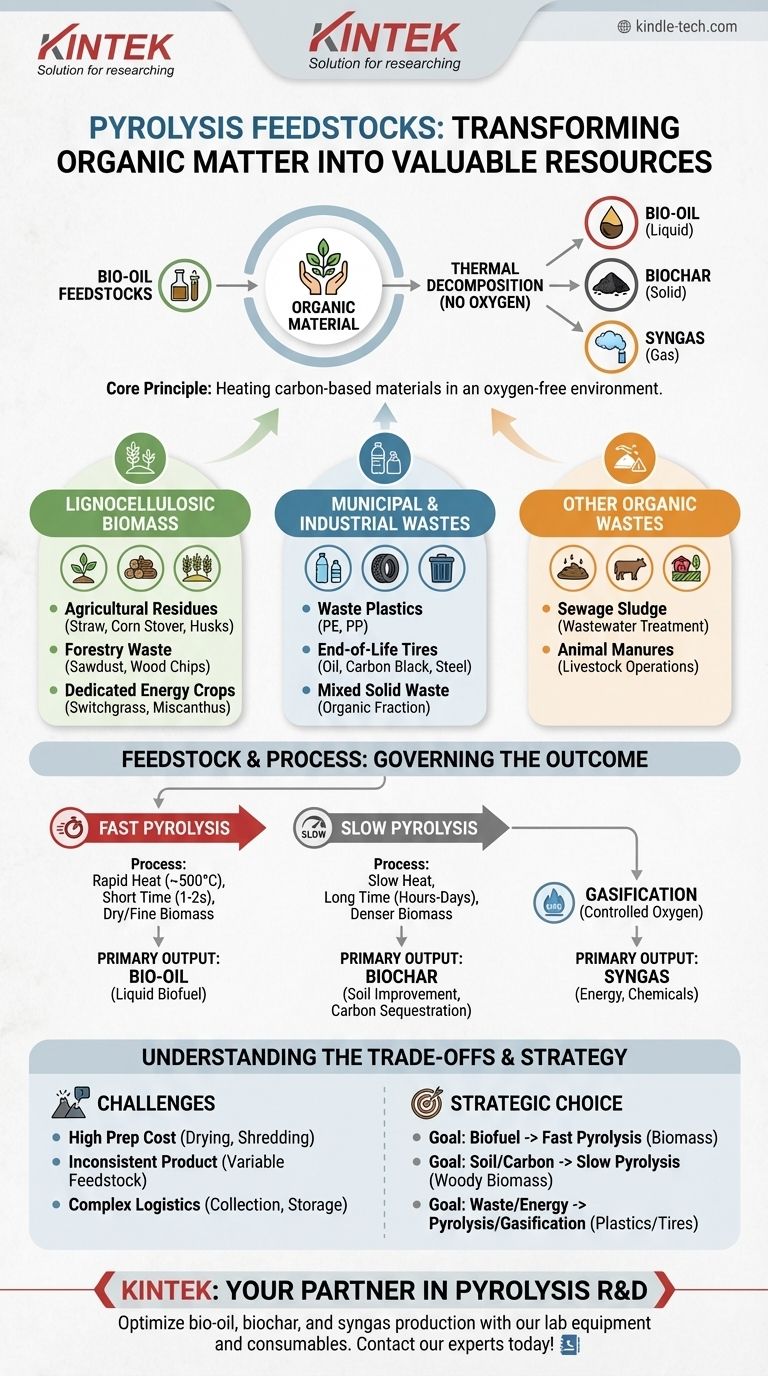 Quais são as matérias-primas para a pirólise? Desbloqueie o Potencial dos Materiais Orgânicos Guia Visual