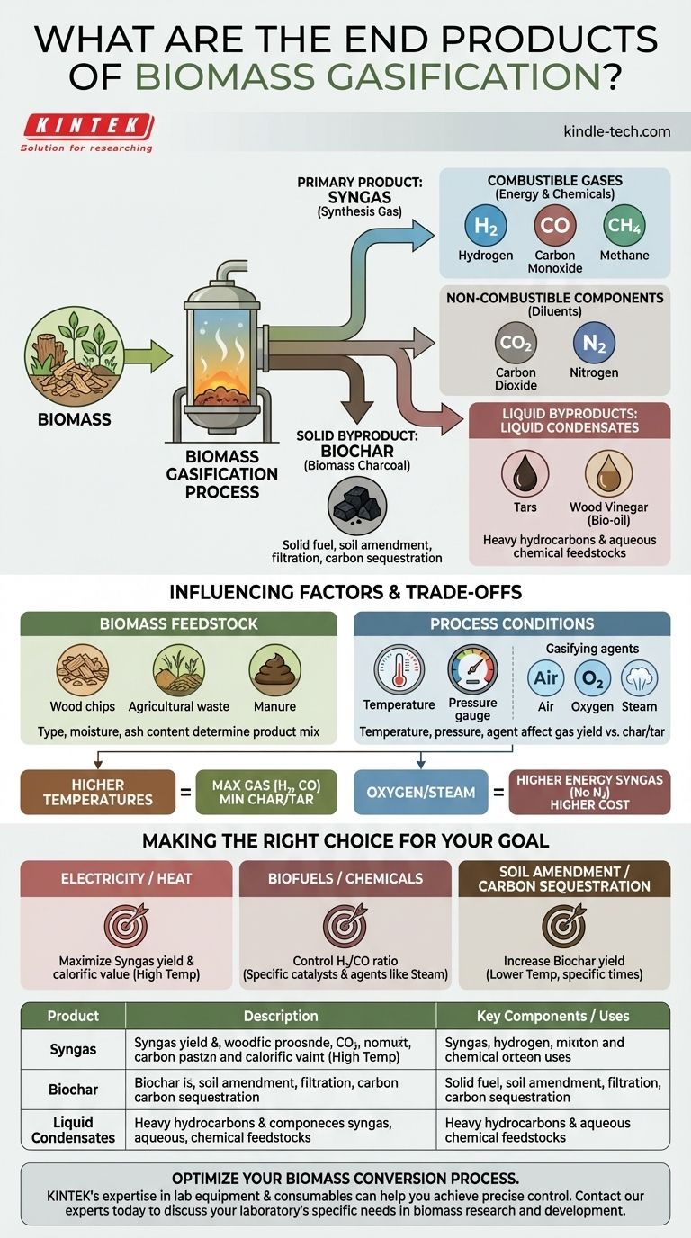 バイオマスガス化の最終生成物は何ですか？合成ガス、バイオ炭などに関するガイド ビジュアルガイド