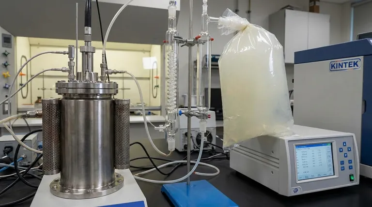 热解的气态产物是什么?了解合成气以实现自给自足的过程