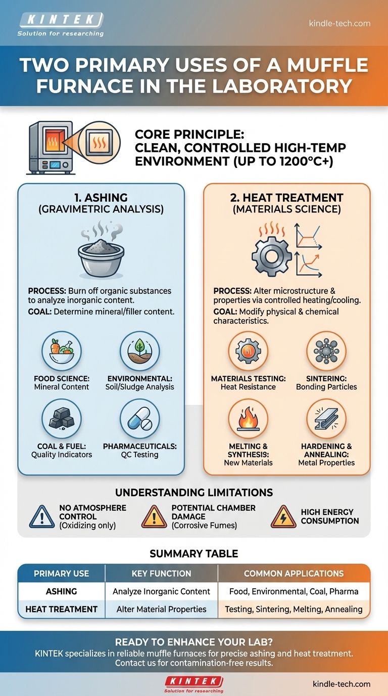 Каковы два применения муфельной печи в лаборатории? Достижение точной высокотемпературной обработки Визуальное руководство
