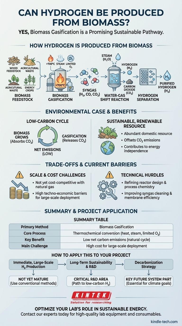 O hidrogénio pode ser produzido a partir de biomassa? Um Guia para o Hidrogénio Sustentável e de Baixo Carbono Guia Visual
