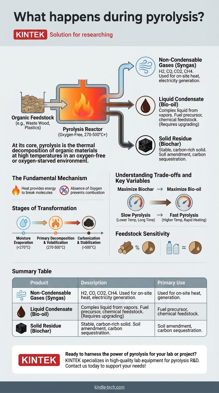 Que se passe-t-il pendant la pyrolyse ? Un guide pour convertir les déchets en produits de valeur Guide Visuel