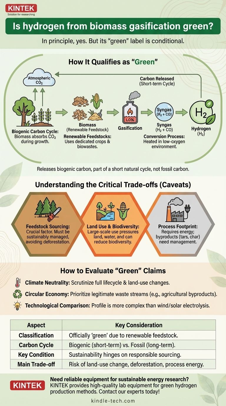 バイオマスガス化由来の水素はグリーン水素か？その持続可能な可能性の真実 ビジュアルガイド